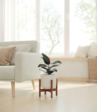 Load image into Gallery viewer, Natural Bamboo stand:walnut