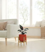Load image into Gallery viewer, Earth Red stand:bamboo