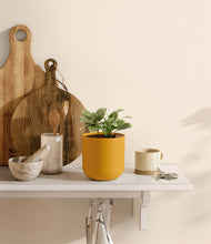 Load image into Gallery viewer, Sunset Orange