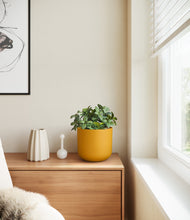 Load image into Gallery viewer, Sunset Orange