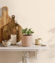 Load image into Gallery viewer, Sandy Pink