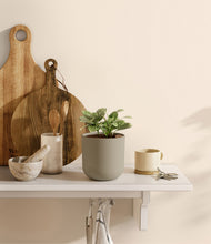 Load image into Gallery viewer, Sage Green