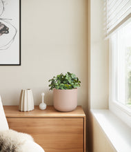 Load image into Gallery viewer, Sandy Pink