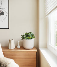 Load image into Gallery viewer, Natural Bamboo