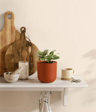 Load image into Gallery viewer, Earth Red