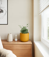 Load image into Gallery viewer, Sunset Orange