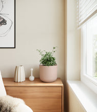 Load image into Gallery viewer, Sandy Pink