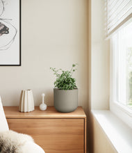 Load image into Gallery viewer, Sage Green