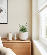 Load image into Gallery viewer, Natural Bamboo