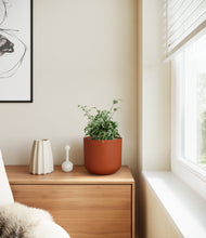 Load image into Gallery viewer, Earth Red