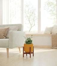 Load image into Gallery viewer, Sunset Orange stand:walnut