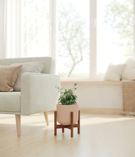 Load image into Gallery viewer, Sandy Pink stand:walnut