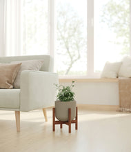 Load image into Gallery viewer, Sage Green stand:walnut