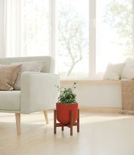 Load image into Gallery viewer, Earth Red stand:walnut