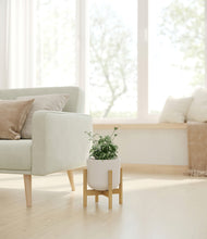 Load image into Gallery viewer, Natural Bamboo stand:bamboo