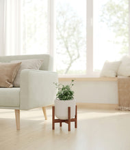 Load image into Gallery viewer, Natural Bamboo stand:walnut