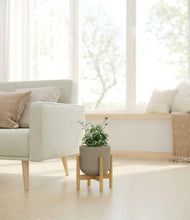 Load image into Gallery viewer, Sage Green stand:bamboo