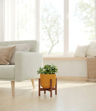 Load image into Gallery viewer, Sunset Orange stand:walnut