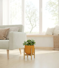 Load image into Gallery viewer, Sunset Orange stand:bamboo