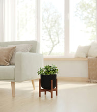 Load image into Gallery viewer, Stone Black stand:walnut