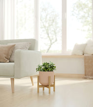 Load image into Gallery viewer, Sandy Pink stand:bamboo