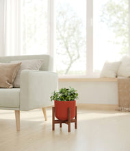 Load image into Gallery viewer, Earth Red stand:walnut