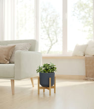 Load image into Gallery viewer, Iron Gray stand:bamboo