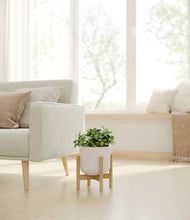 Load image into Gallery viewer, Natural Bamboo stand:bamboo