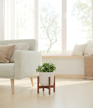 Load image into Gallery viewer, Natural Bamboo stand:walnut