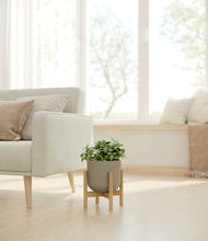 Load image into Gallery viewer, Sage Green stand:bamboo