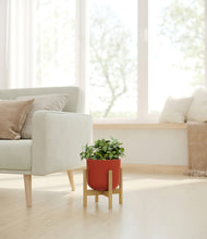 Load image into Gallery viewer, Earth Red stand:bamboo