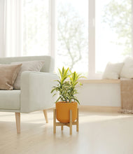 Load image into Gallery viewer, Sunset Orange stand:bamboo