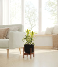 Load image into Gallery viewer, Stone Black stand:walnut