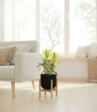 Load image into Gallery viewer, Stone Black stand:bamboo