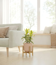 Load image into Gallery viewer, Sandy Pink stand:bamboo