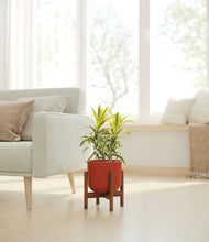 Load image into Gallery viewer, Earth Red stand:walnut