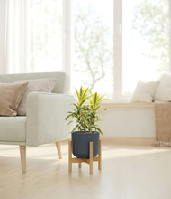 Load image into Gallery viewer, Iron Gray stand:bamboo