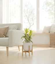 Load image into Gallery viewer, Natural Bamboo stand:bamboo