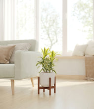 Load image into Gallery viewer, Natural Bamboo stand:walnut