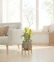 Load image into Gallery viewer, Sage Green stand:bamboo