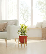 Load image into Gallery viewer, Earth Red stand:bamboo