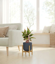 Load image into Gallery viewer, Iron Gray stand:bamboo