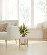 Load image into Gallery viewer, Natural Bamboo stand:bamboo