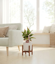 Load image into Gallery viewer, Natural Bamboo stand:walnut