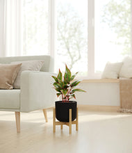 Load image into Gallery viewer, Stone Black stand:bamboo