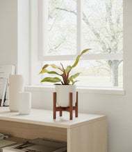 Load image into Gallery viewer, Natural Bamboo stand:walnut