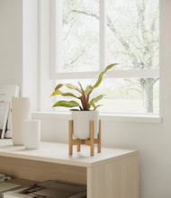 Load image into Gallery viewer, Natural Bamboo stand:bamboo