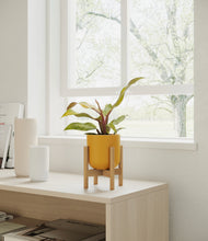 Load image into Gallery viewer, Sunset Orange stand:bamboo