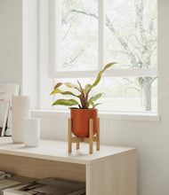 Load image into Gallery viewer, Earth Red stand:bamboo