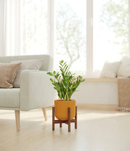 Load image into Gallery viewer, Sunset Orange stand:walnut